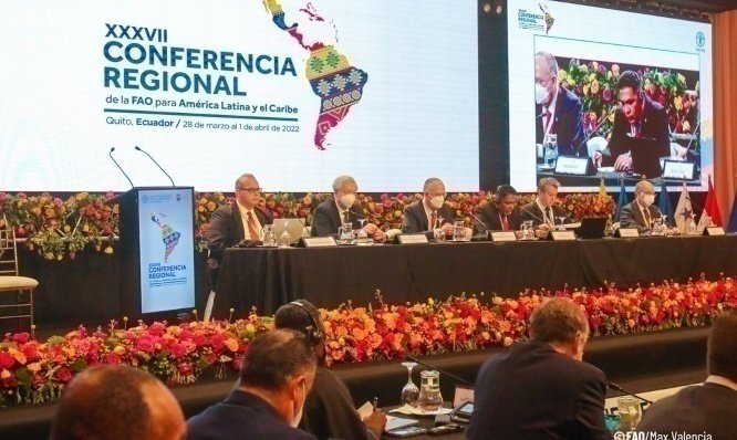 Established three regional priorities for Latin America and the Caribbean FAO